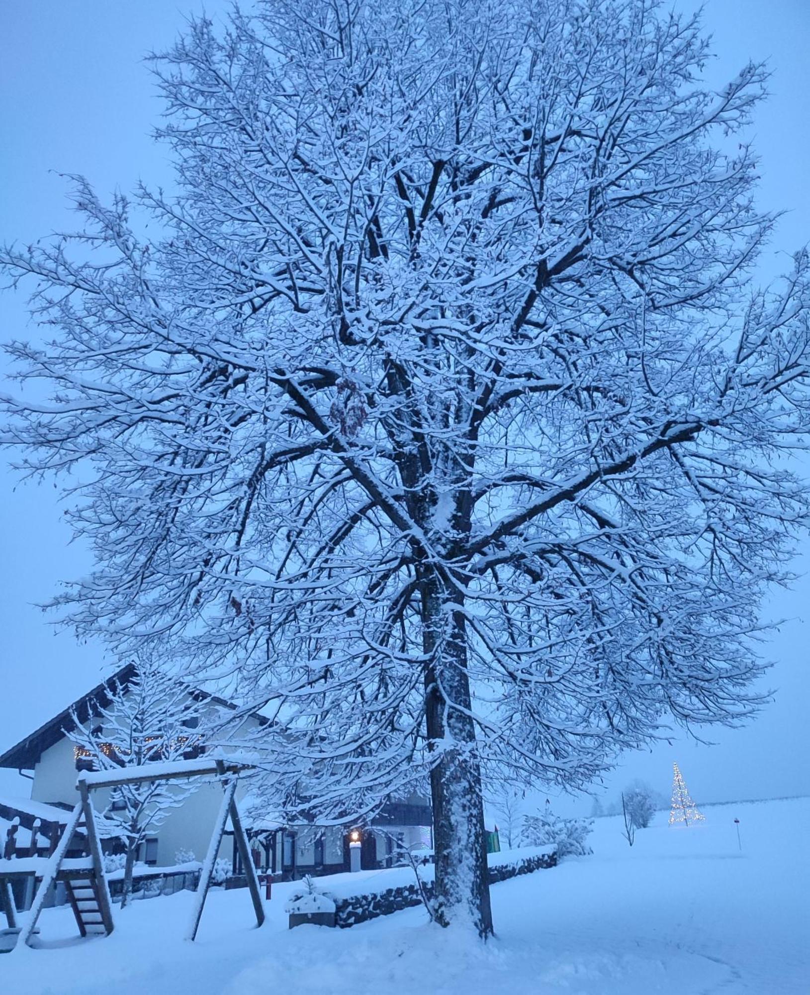 Fruehstuecks-Pension Lichtenauer Hof Thyrnau Экстерьер фото